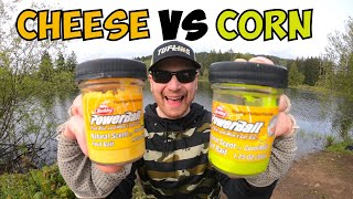 CHEESE VS CORN Spring Trout Fishing Challenge (My Hands Got