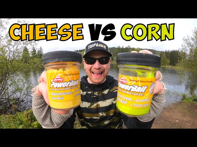 CHEESE VS CORN Spring Trout Fishing Challenge (My Hands Got Stinky