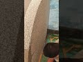 The process of neatly rubbing plaster on the wall by a craftsman #youtubeshorts