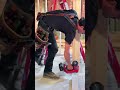 Milwaukee 360 Laser - Basement Framing