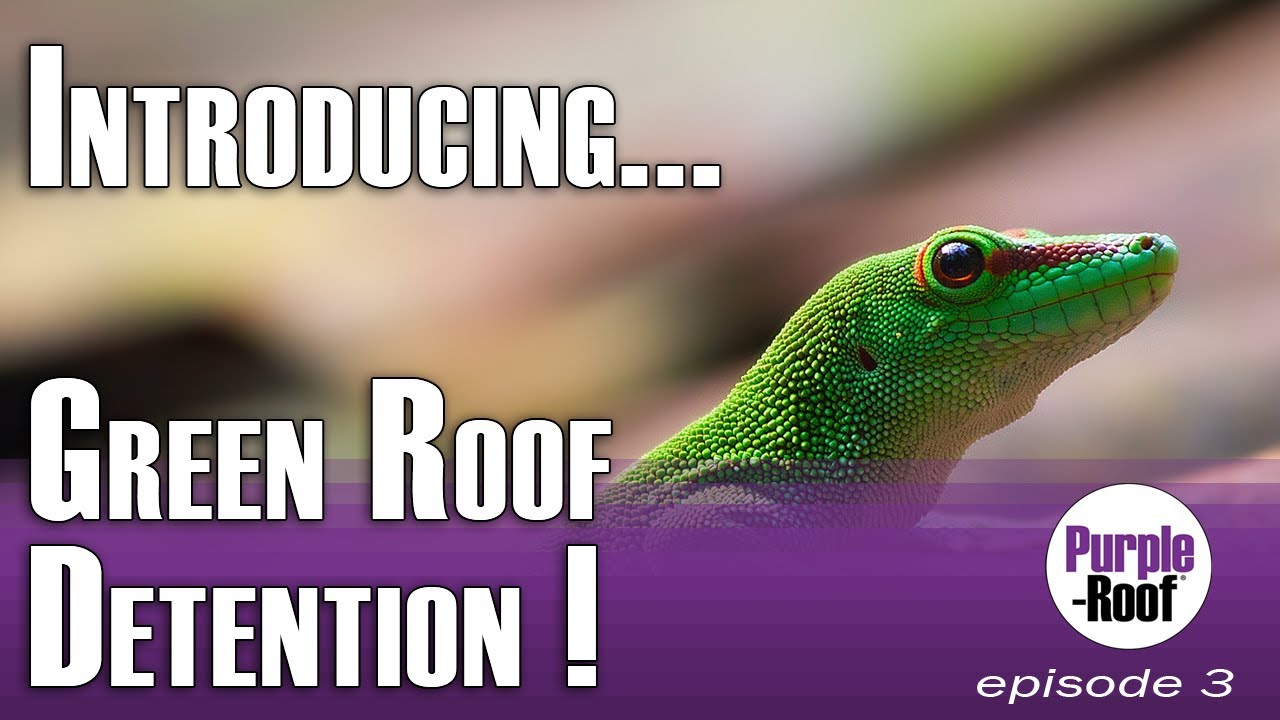 Introducing Green Roof DETENTION! (Ep. 3)