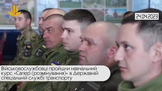 Short  War  Day 425  Video digest