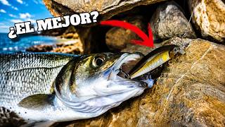 🎣 MINNOW vs CRANKBAIT 🔥 ¿cuál pesca MÁS de verdad?