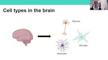 fFTD Annual Seminar - 17th June 2024