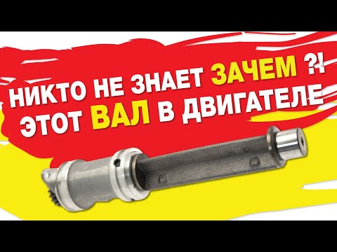 НИКТО НЕ ЗНАЕТ, ЗАЧЕМ ЭТОТ ВАЛ В ДВИГАТЕЛЕ!!