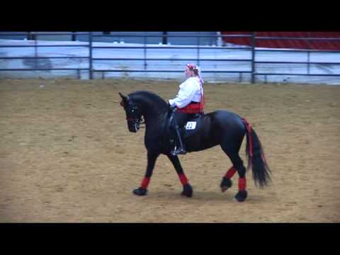 Lindinhof Midwest Horse Fair 2011 Most Beautiful H...