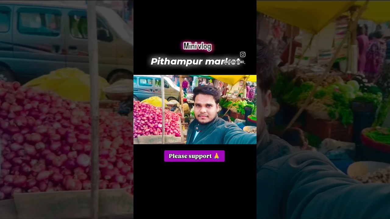 mini vlog pithampur market indore  