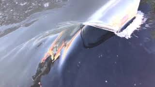 First Look Swell Mfg Launches New Wave Pool Tech