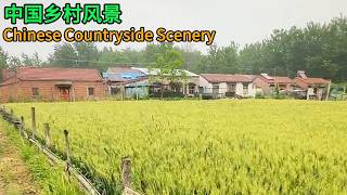 一起看看中国农村的乡村? Chinese Countryside Scenery