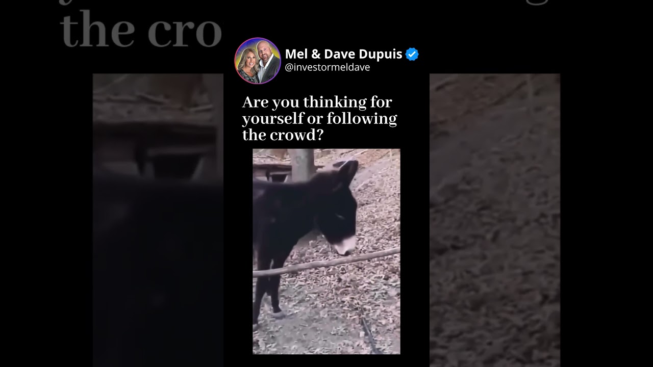 Be the game changer! #realestate #realestate101 #realestateinvestor