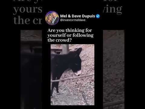 Be the game changer! #realestate #realestate101 #realestateinvestor