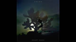 Desert Roach - You're Gonna Drown // Drown [NEW ALBUM] Net Worth