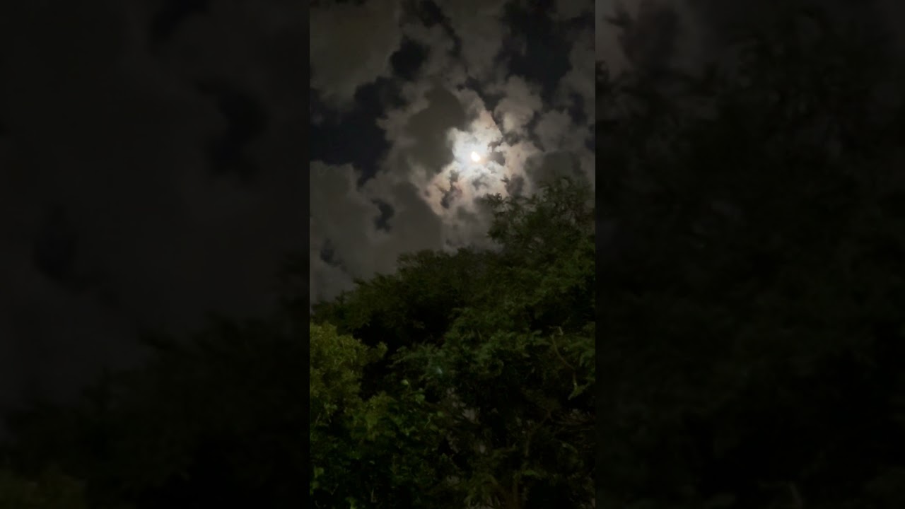 Moon morning of sept 4, 2026