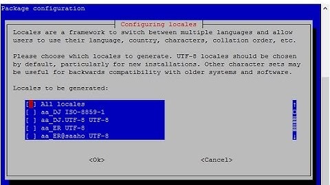 DV4mini Raspberry Pi image, how to change the language
