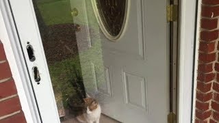ANDERSEN 2000 Storm Door Latch and Closer Install