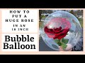 How to stuff a Rose in an 18 inch Bubble Balloon/How to tie a Bubble Balloon/Rose inside a Balloon