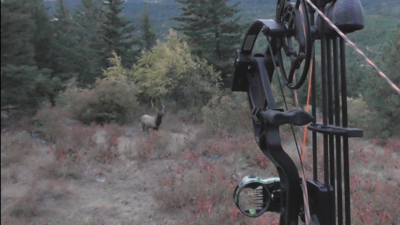 Solo Archery Elk Hunt POV DIY OTC YouTube