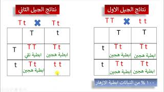 تطبيقات على حل مسائل الوراثة