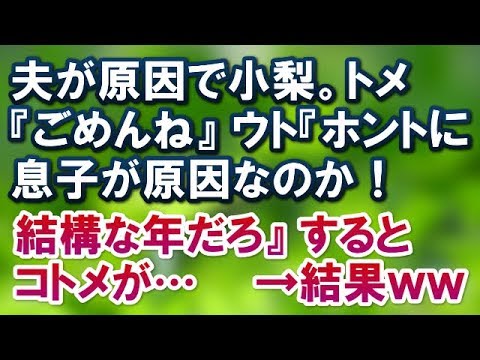 【スカッとする話】夫が原因で小梨。トメ『ごめんね』ウト『ホントに息子が原因なのか！結構な年だろ』するとコトメが…→結果ｗ【スカッと便り】