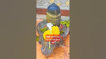1000 अश्वमेध यज्ञ का फल कैसे प्राप्त करें#Pradeep mishra ji#yt shorts#shivling#trending video#shorts