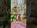 Random Wilds Wisdom: Greatsword