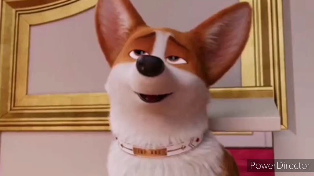 Королевский Корги: Клип 