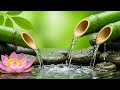 Peaceful Sleep and Meditation Music – Calm Water Sounds for Stress-Free Healing and Balance