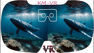 3D VR VIDEOS 526 4K