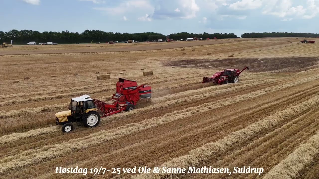 Høstdag 19/7-25 arrangeret af Rebild Veterantraktorklub ved Ole & Sanne Mathiasen, Suldrup