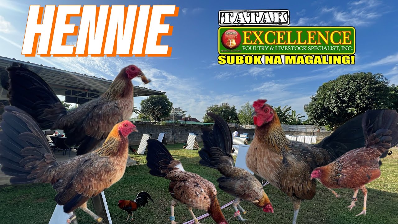 PARANG MGA BABAE | HENNIE | BAKIT KAYA BAWAL HENNIE SA PAMPANGA | JANUARY 31, 2026 | ORONCE BROS GF