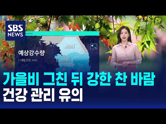 [날씨] 가을비 그친 뒤 강한 찬 바람..건강 관리 유의 / SBS 오뉴스
