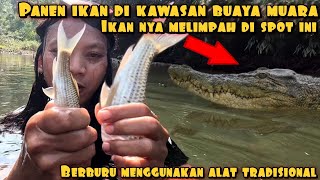 PANEN IKAN NILEM DI DASAR MUARA HABITAT BUAYA