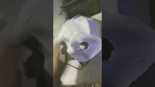 making foxy mask!