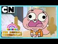 The Gumball Chronicles | Watterson’s Family Tree | Cartoon Network UK 🇬🇧