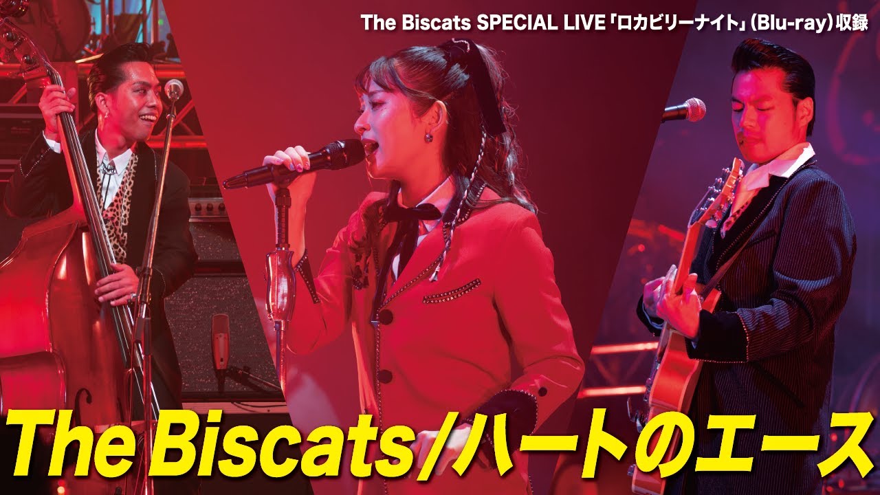 The Biscats SPECIAL LIVE 『ロカビリーナイト』(Blu-ray)収録】「The