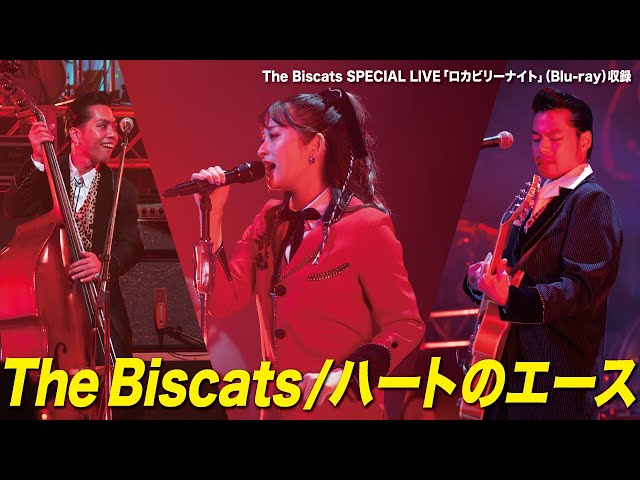 The Biscats SPECIAL LIVE 『ロカビリーナイト』(Blu-ray)収録】「The