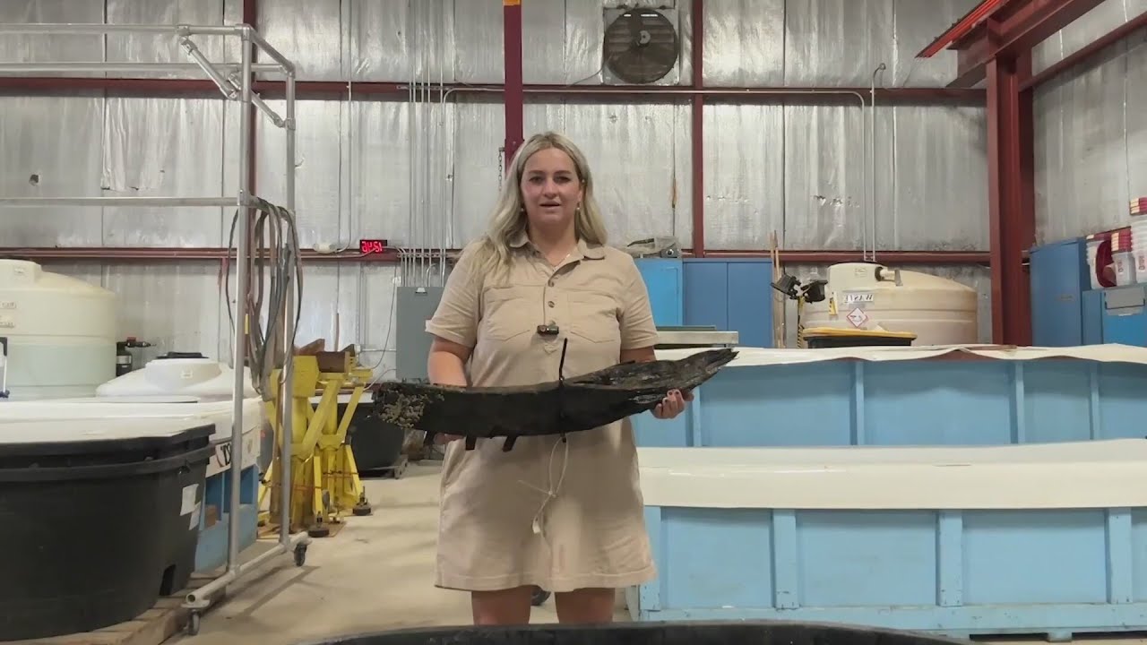 ECU Archeologists find what they believe to be four shipwrecks off the coast of North Carolina