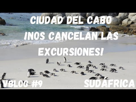 Vídeo: 5 Excursiones Perfectas Desde Ciudad Del Cabo - Matador Network