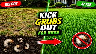 How to Treat Lawn Grubs Before They Ruin Your Yard 🐛🌿