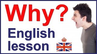 Question word WHY and how to use it in English