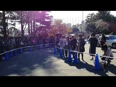 2017トヨタ博物館クラシックカー・フェスティバル in 神宮外苑1