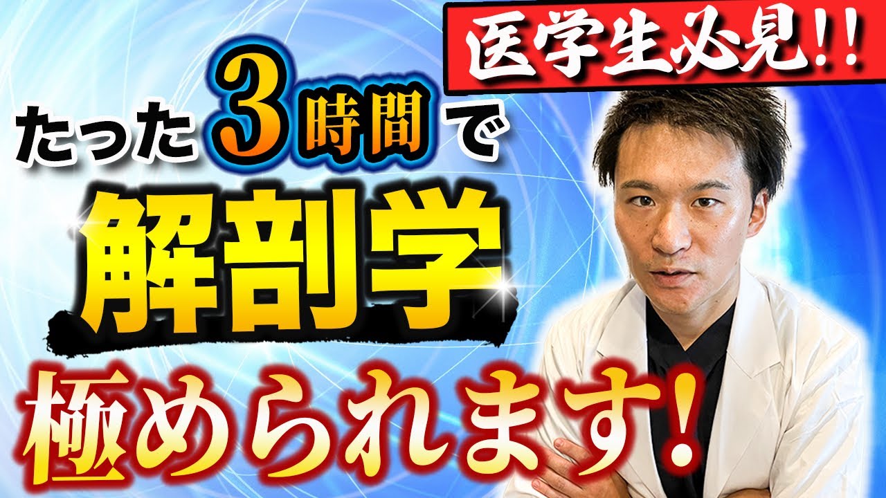 【もっと早く知りたかった!!】書いて覚えるよりも超効率的!!解剖学の暗記法を、医師講師が解説します！ — Transcript