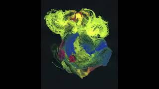 Book of Sand - Dreaming of the Deep