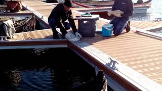 IPMA DGT Retrival during wet sampling campaigns