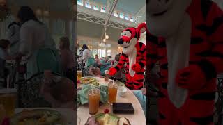 Everly meets tigger (May 2025)