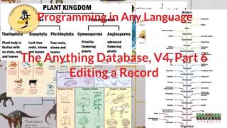 Celebrity The Anything Database, Version 4, Part 6 Net Worth