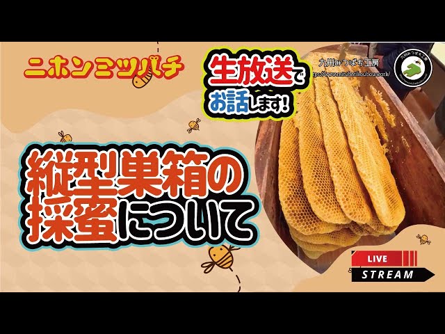 縦型巣箱の採蜜について【二ホンミツバチ飼育Q&A】 - YouTube