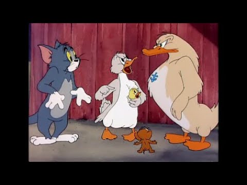 Tom And Jerry Little Quacker 1950