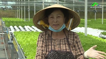 Liên kết  - Giải pháp nâng cao giá trị nông sản I  Lâm Đồng TV