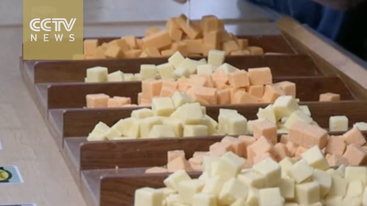 South African Cheese Festival thousands flock to Cape Town for a taste